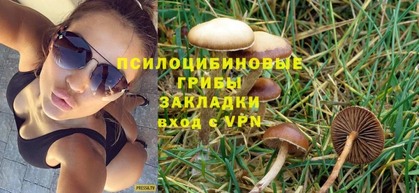 хмурый Алексеевка