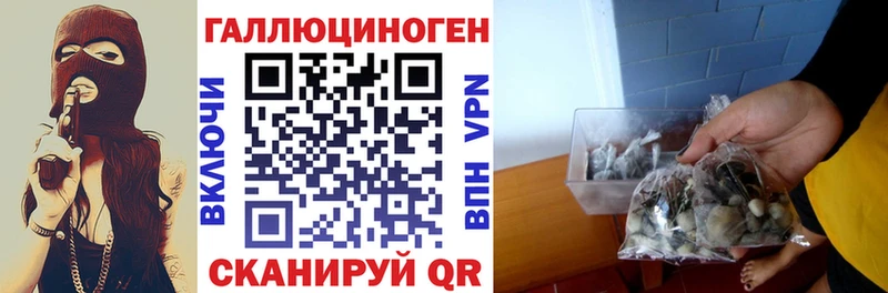 Галлюциногенные грибы прущие грибы  купить закладку  Гдов 
